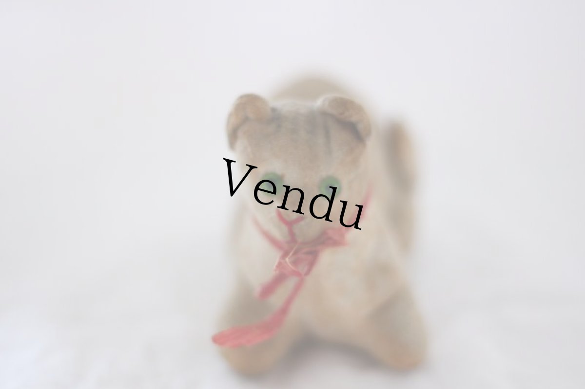 画像7: RARE!! Antique Cat /Berg (7)