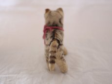 画像6: RARE!! Steiff US ZONE Kitty  (6)