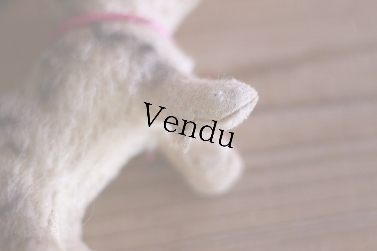 画像11: RARE!! Steiff US ZONE Kitty  (11)