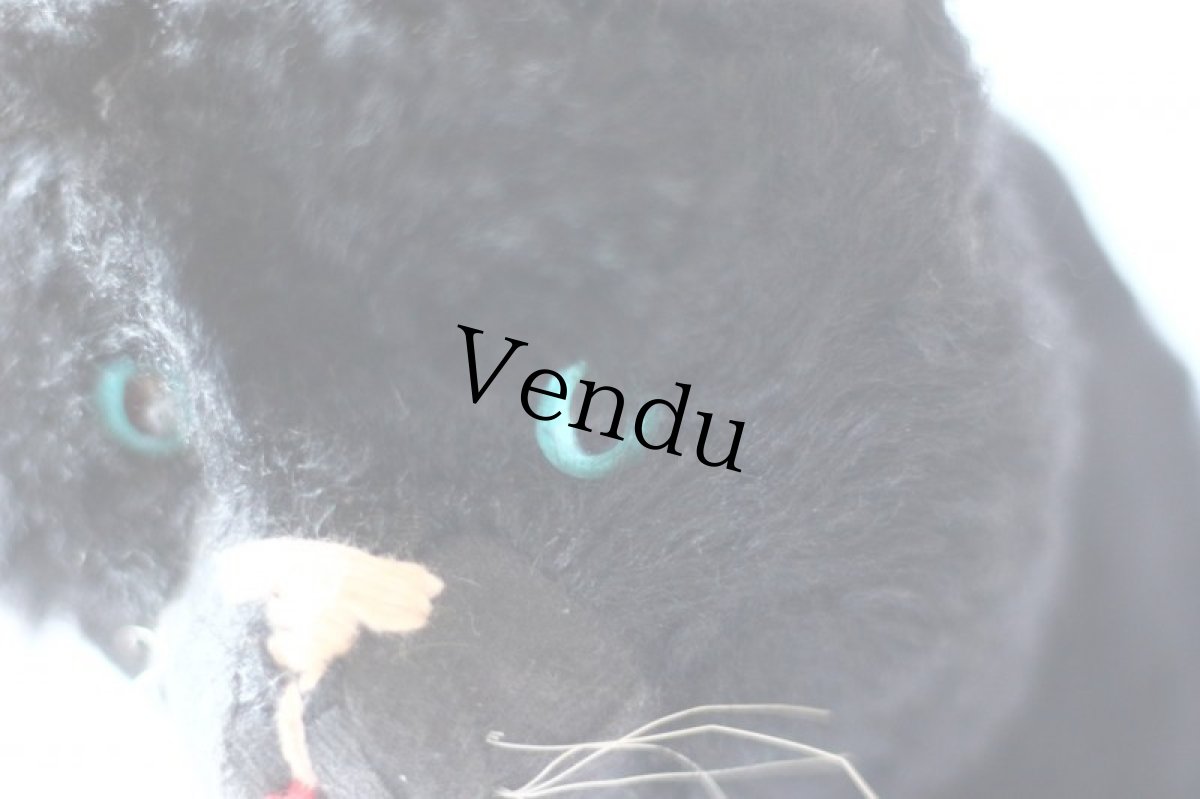 画像8: Antique french black cat/フランス蚤の市 (8)