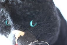 画像8: Antique french black cat/フランス蚤の市 (8)