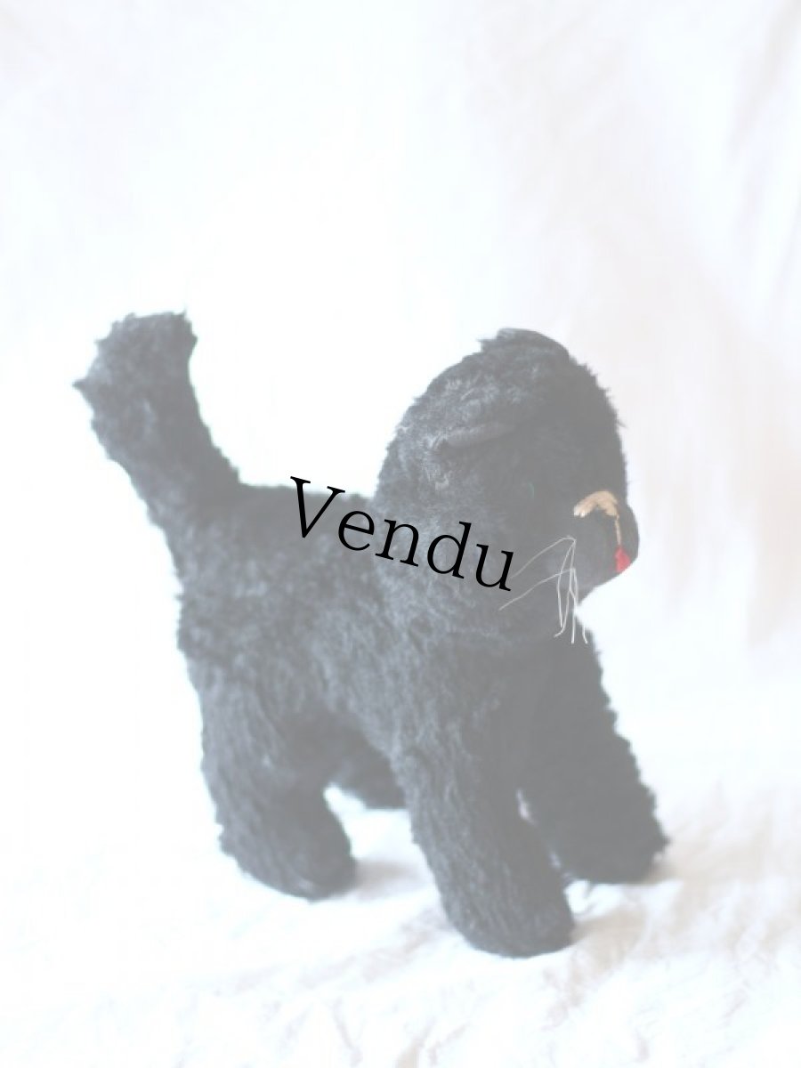 画像5: Antique french black cat/フランス蚤の市 (5)