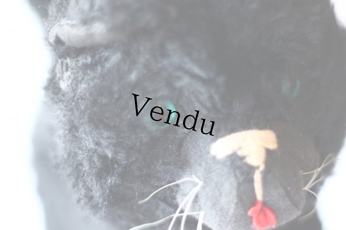 画像7: Antique french black cat/フランス蚤の市 (7)