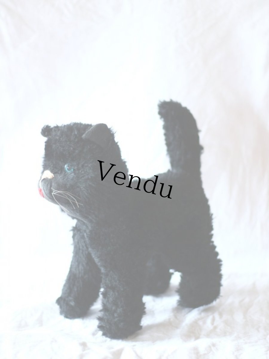 画像4: Antique french black cat/フランス蚤の市 (4)
