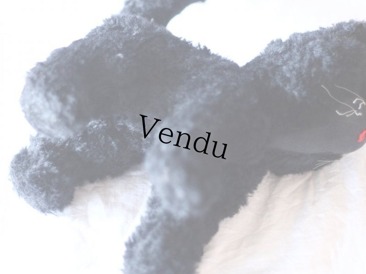 画像9: Antique french black cat/フランス蚤の市 (9)