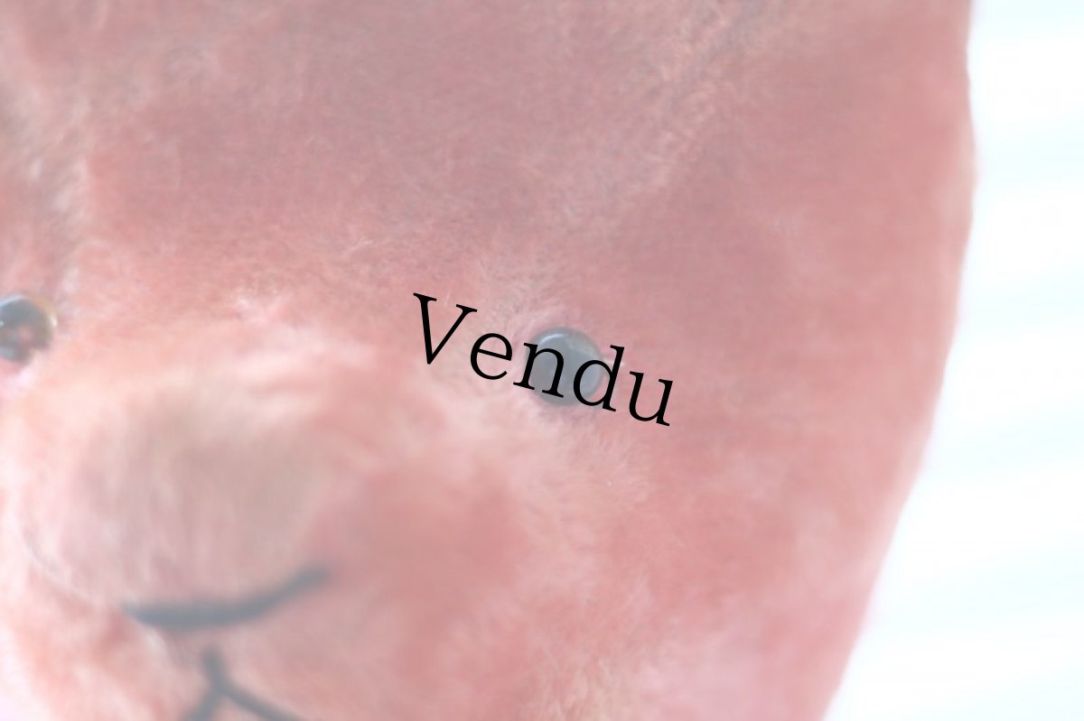 画像4: RARE!!Pink Le Jouet Paris Massy/J.P.M. Bear/size BIG LLL 50cm/France (4)