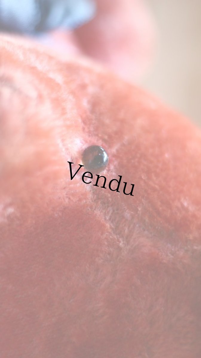 画像13: RARE!!Pink Le Jouet Paris Massy/J.P.M. Bear/size BIG LLL 50cm/France (13)