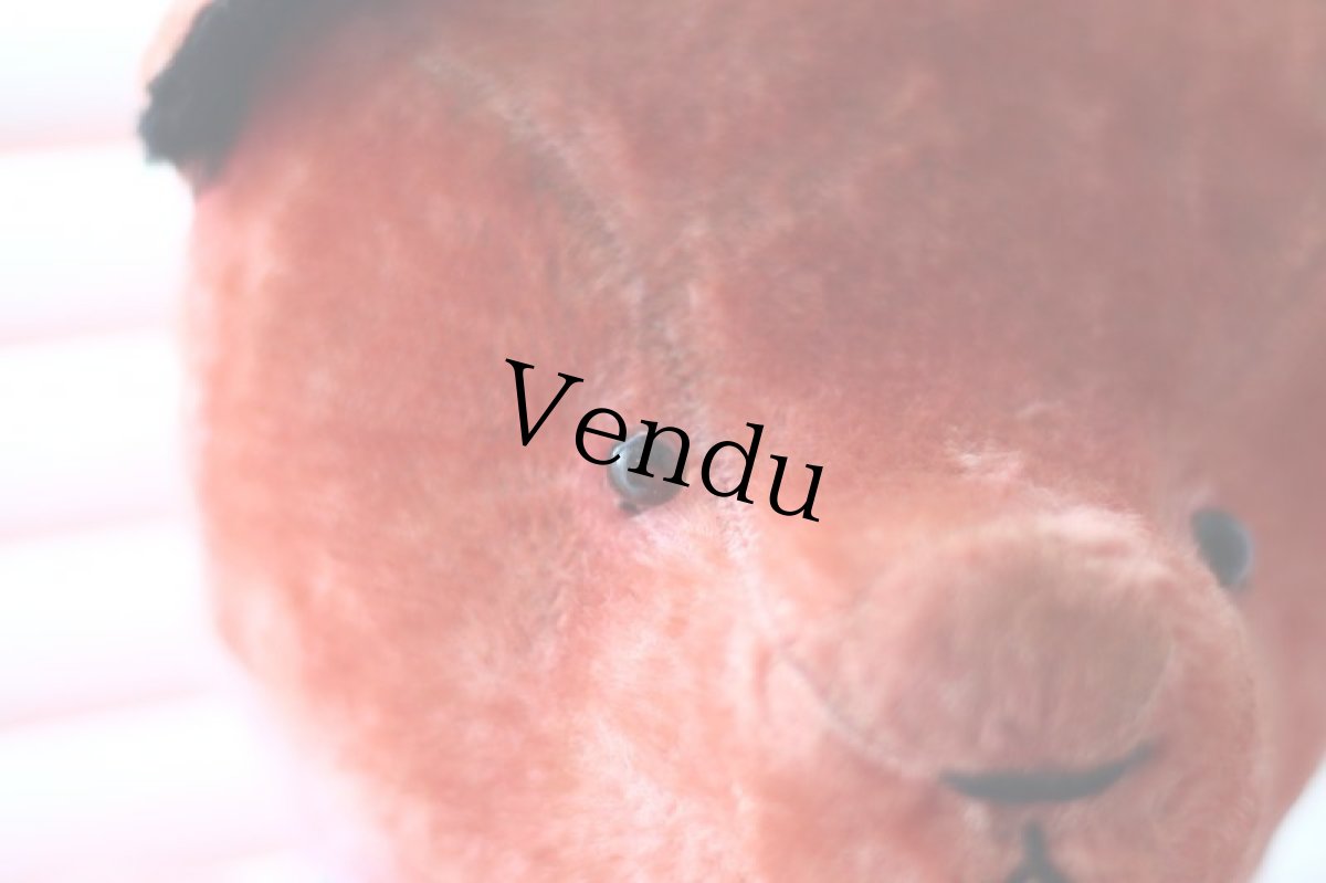 画像5: RARE!!Pink Le Jouet Paris Massy/J.P.M. Bear/size BIG LLL 50cm/France (5)