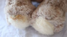 画像10: White Beige Bear / J.P.M.社 / France (10)