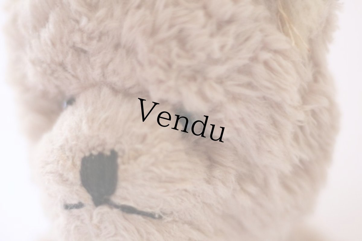 画像4: White Beige Bear / J.P.M.社 / France (4)