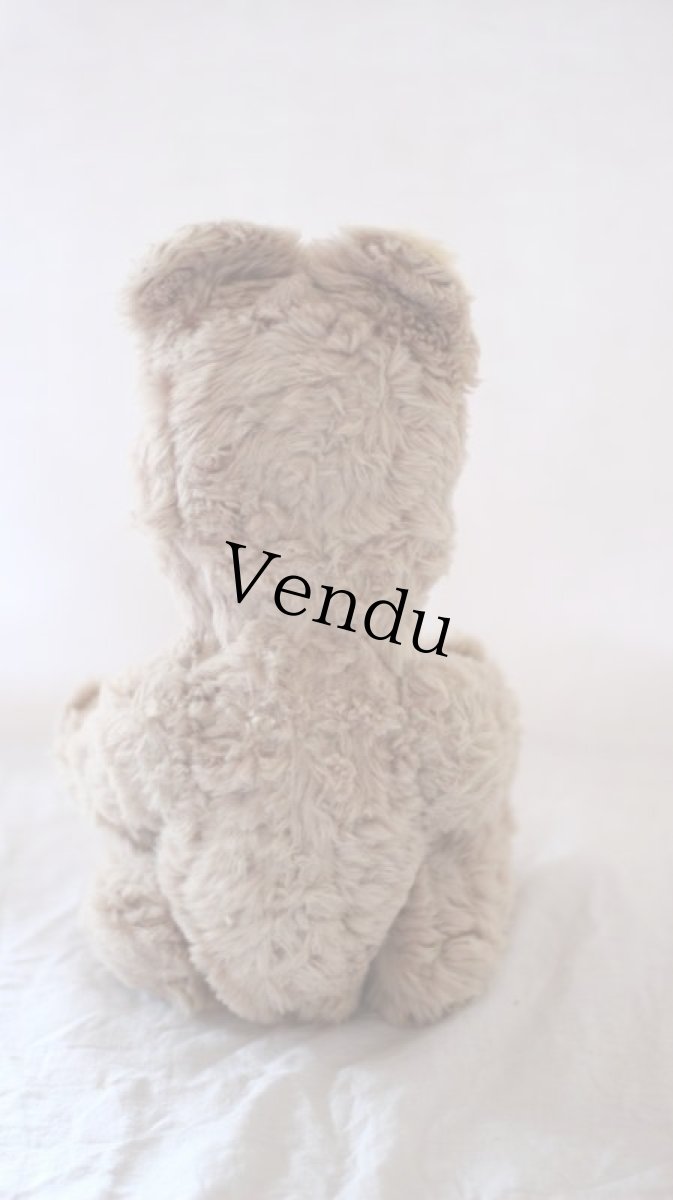 画像7: White Beige Bear / J.P.M.社 / France (7)