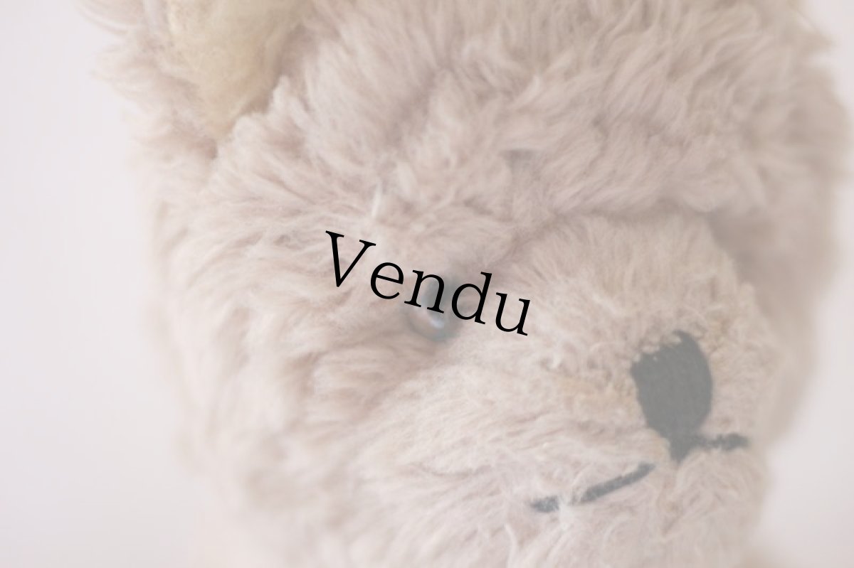 画像5: White Beige Bear / J.P.M.社 / France (5)