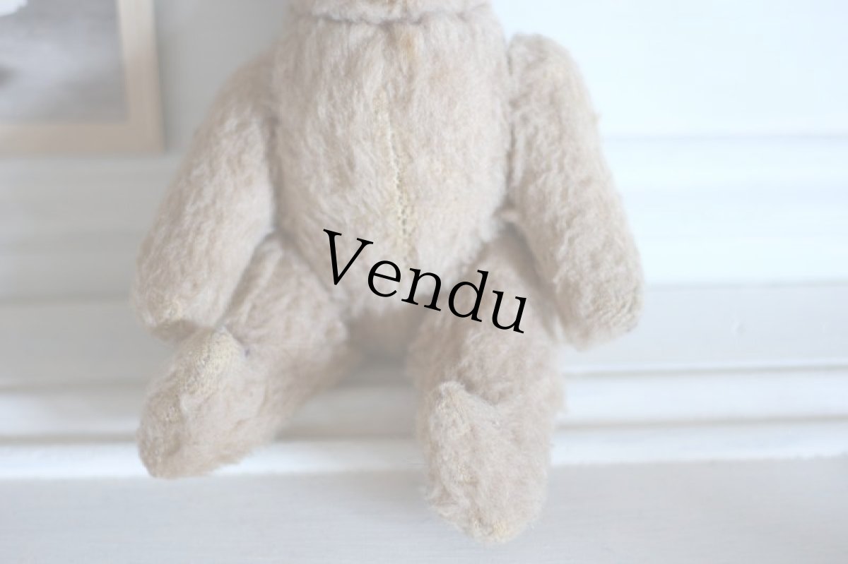 画像3: RARE!!Antique French Bear / France (3)