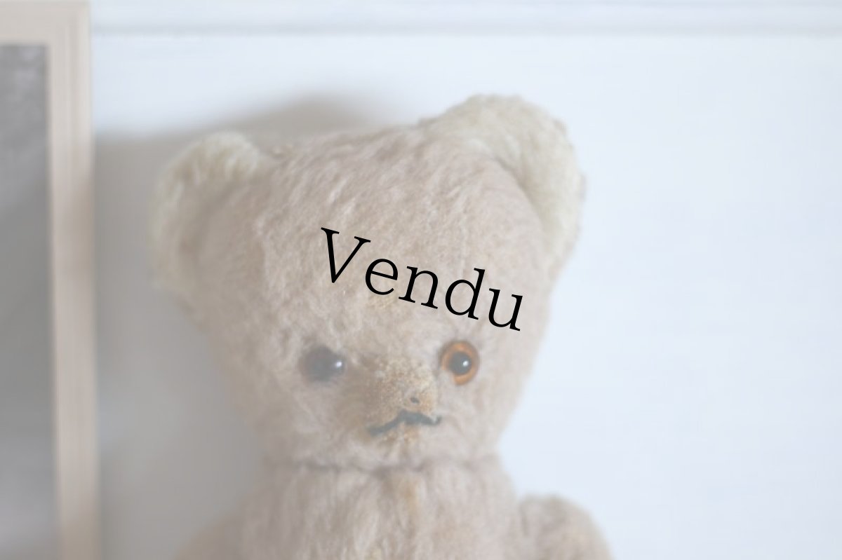 画像2: RARE!!Antique French Bear / France (2)