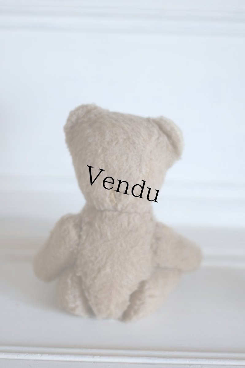 画像6: RARE!!Antique French Bear / France (6)