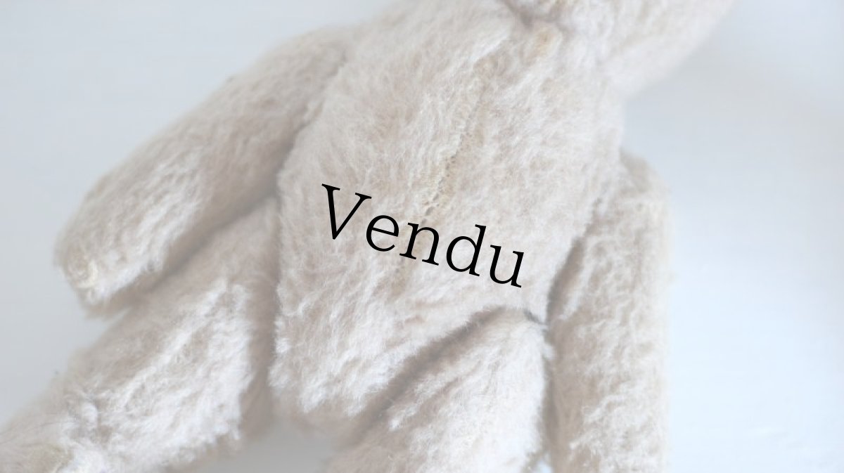 画像9: RARE!!Antique French Bear / France (9)