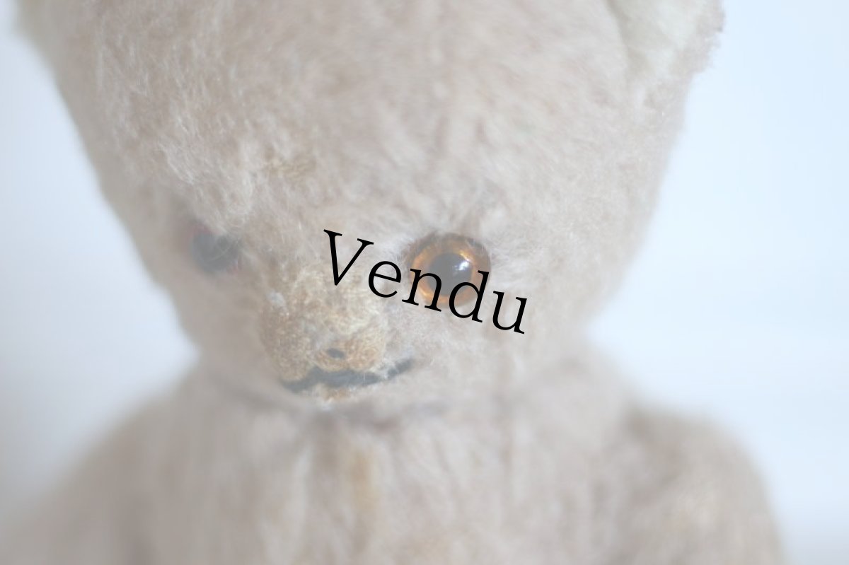 画像7: RARE!!Antique French Bear / France (7)
