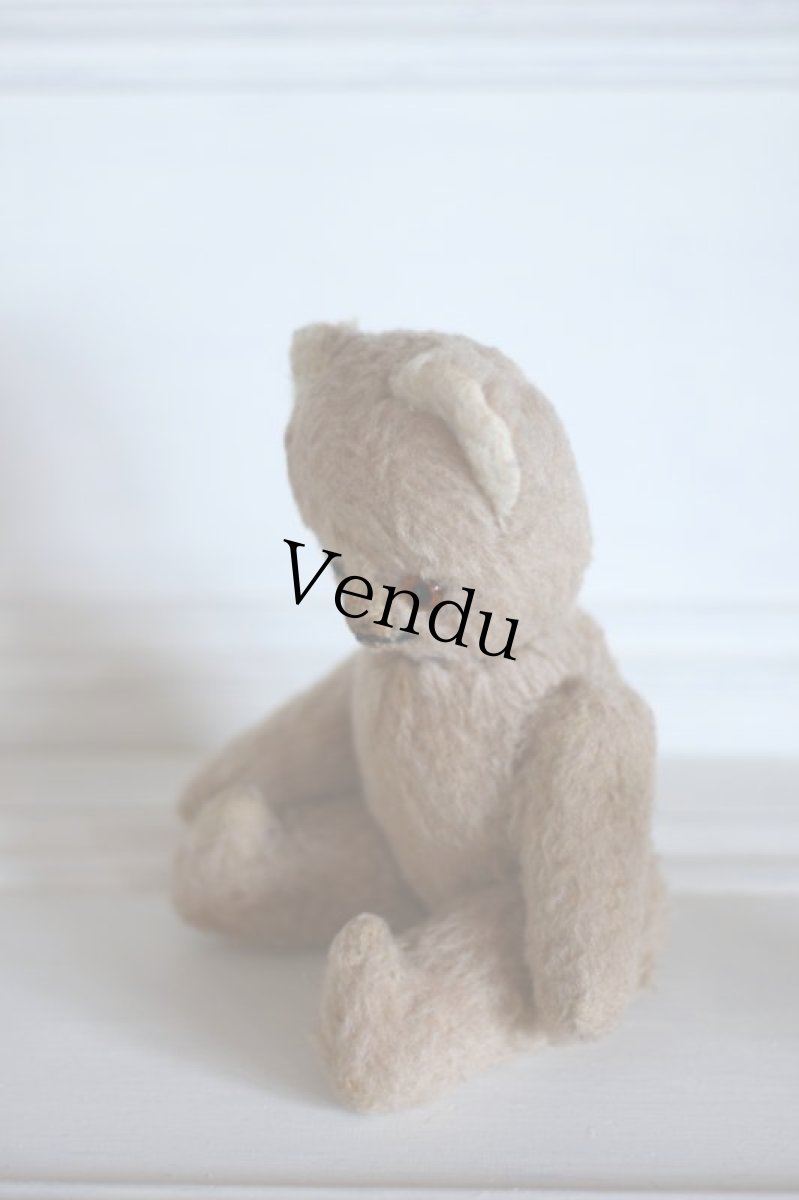 画像4: RARE!!Antique French Bear / France (4)