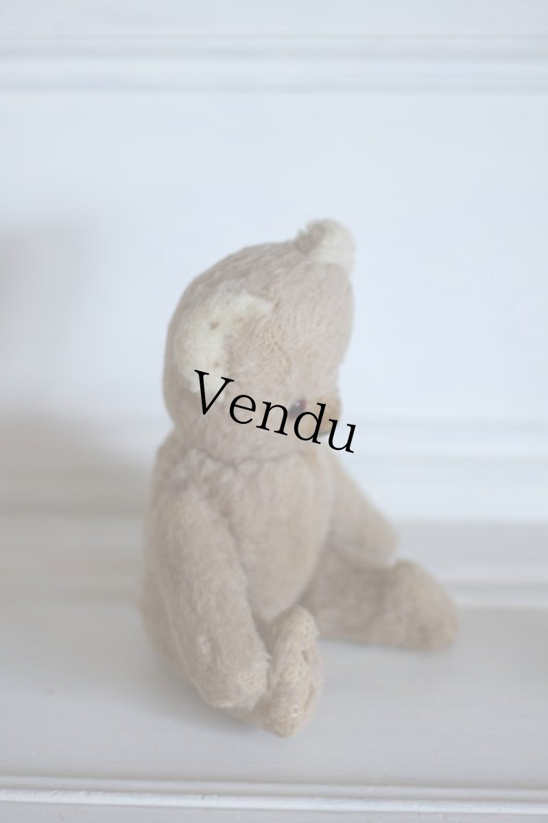 画像5: RARE!!Antique French Bear / France (5)