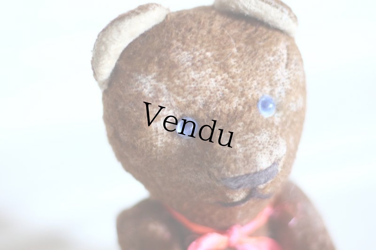 画像3: Blue eyes!! Le Jouet Paris Massy/J.P.M. Bear//France (3)