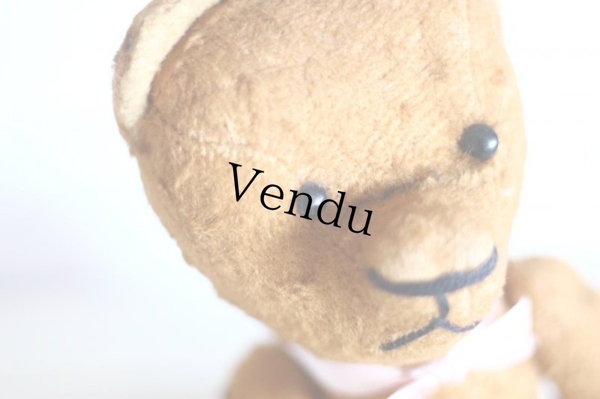 画像4: Le Jouet Paris Massy/J.P.M. Bear//France (4)