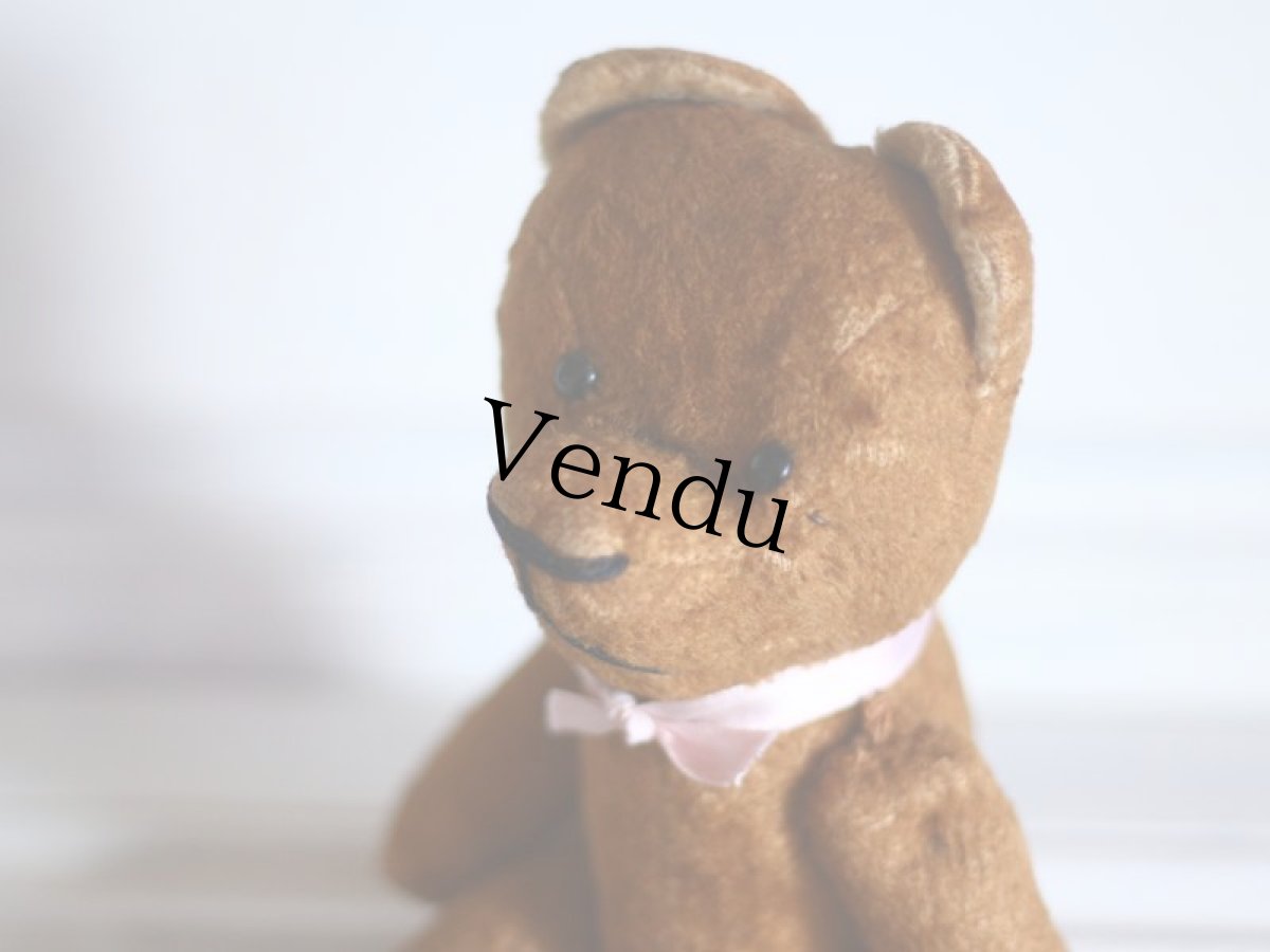 画像11: Le Jouet Paris Massy/J.P.M. Bear//France (11)