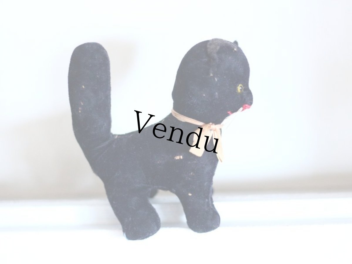 画像5: Rare Cute!! French Black Cat //France (5)