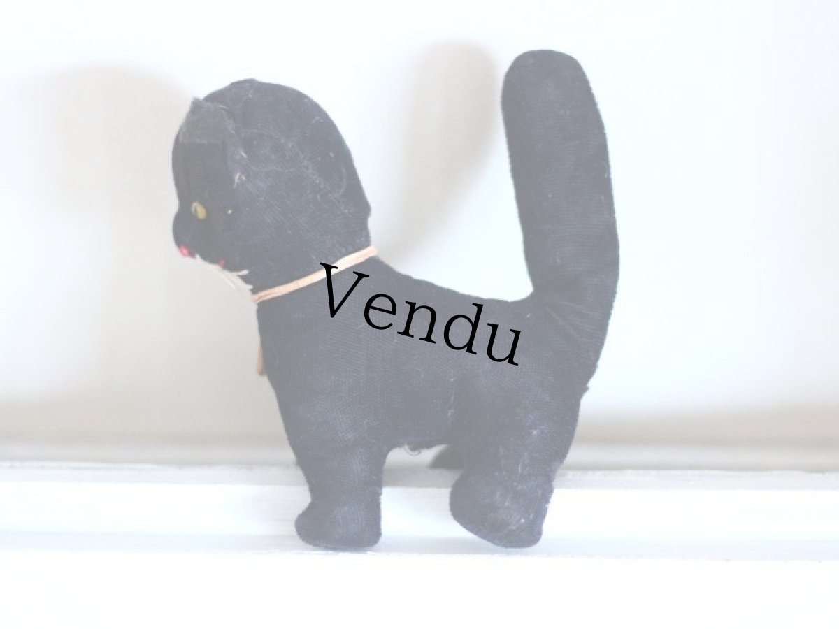 画像6: Rare Cute!! French Black Cat //France (6)