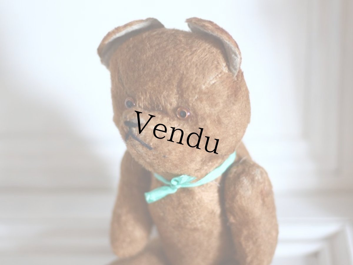 画像11: French Bear/France (11)