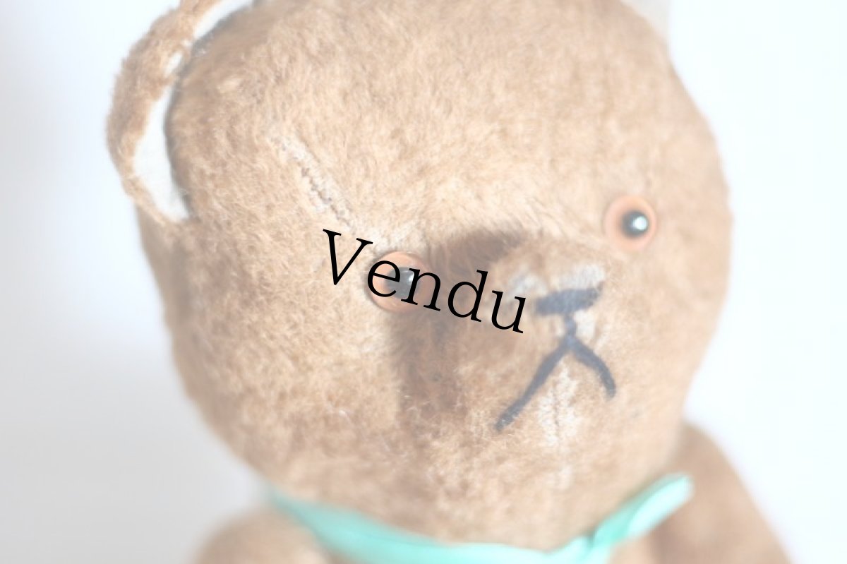 画像3: French Bear/France (3)