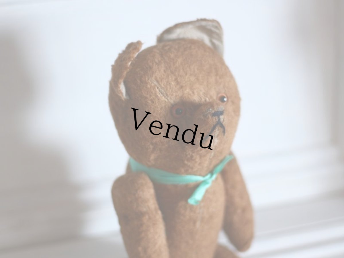 画像10: French Bear/France (10)