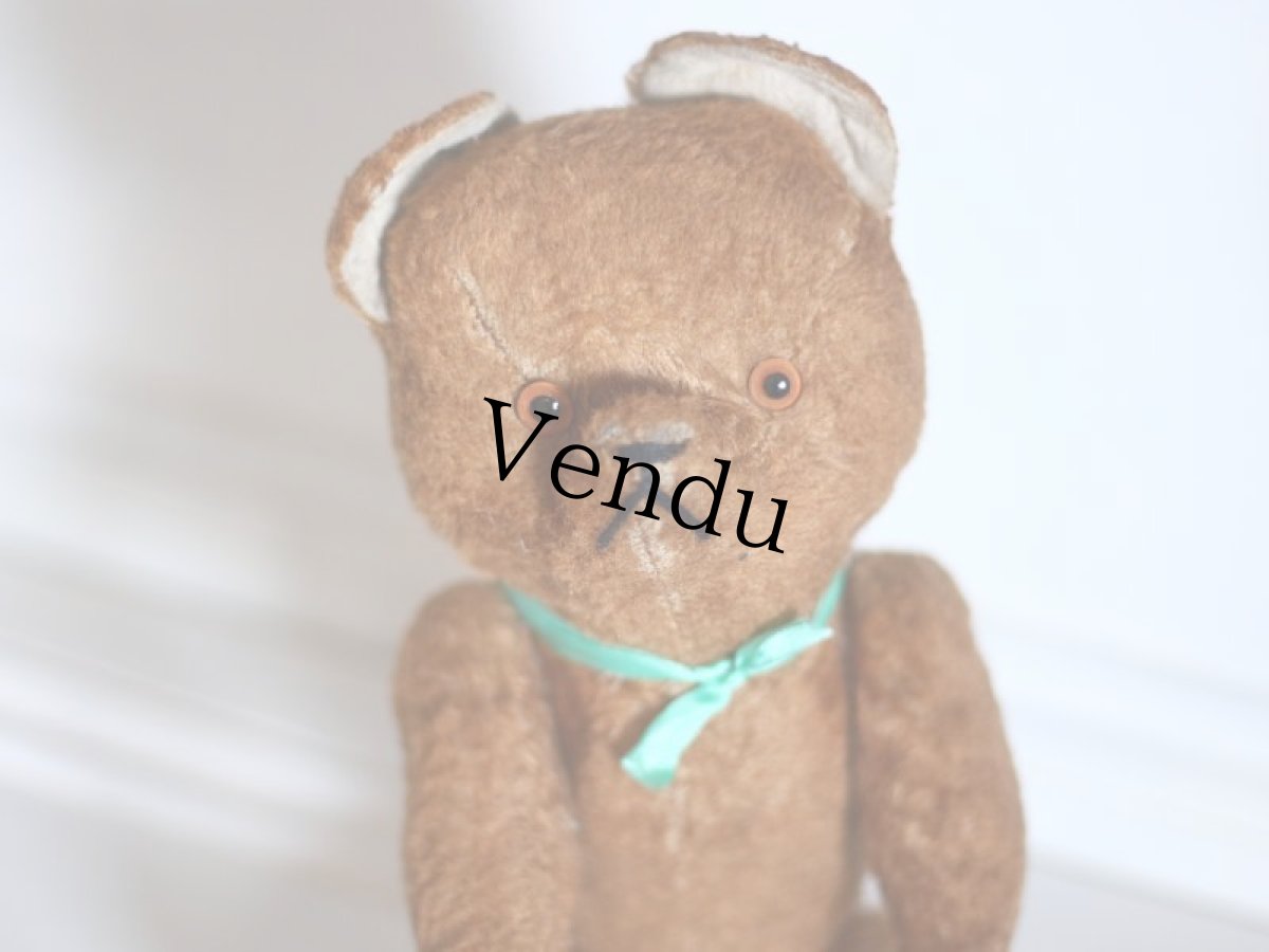 画像2: French Bear/France (2)