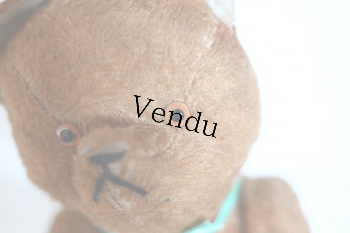 画像4: French Bear/France (4)