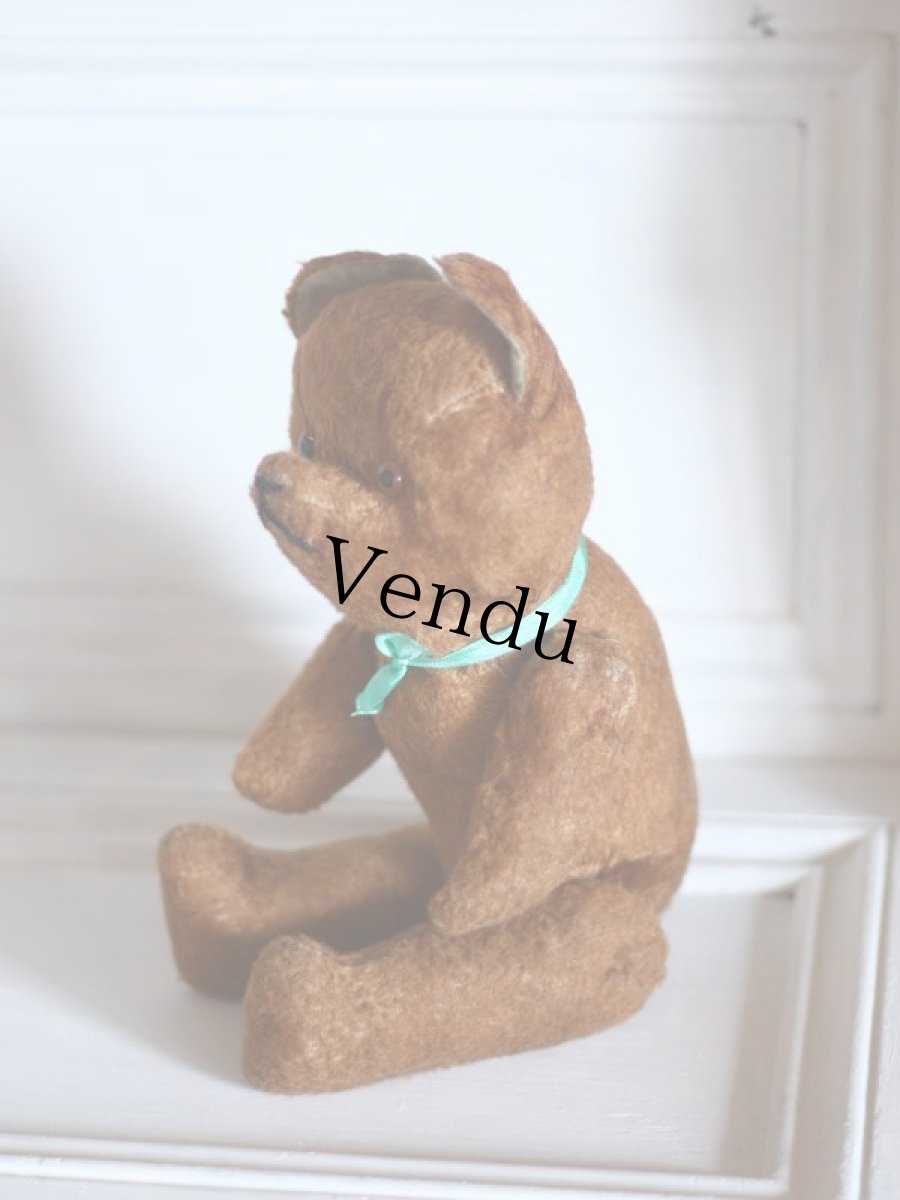 画像7: French Bear/France (7)