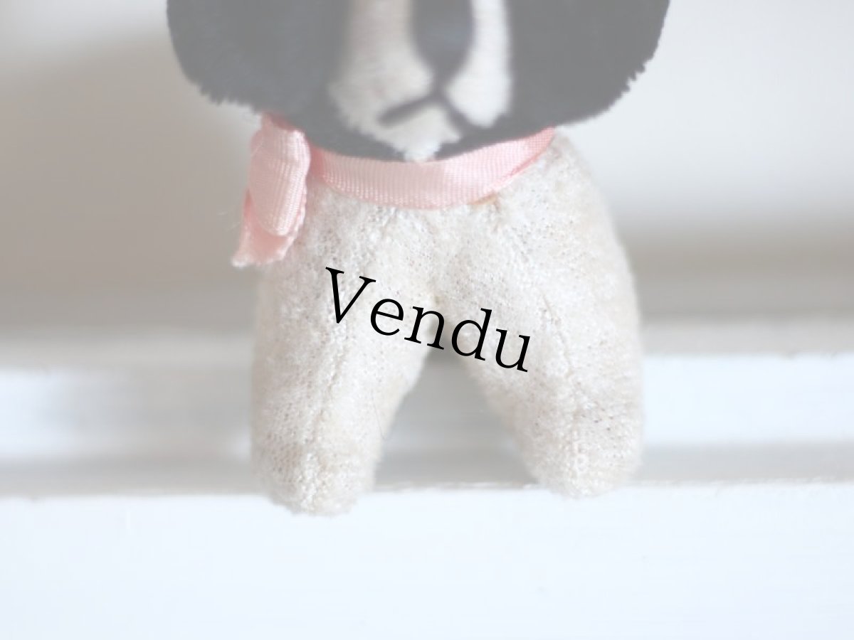 画像5: RARE!!Antique French Dog / France (5)