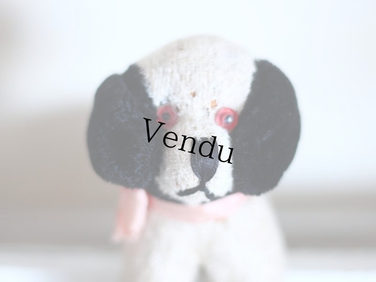 画像4: RARE!!Antique French Dog / France (4)