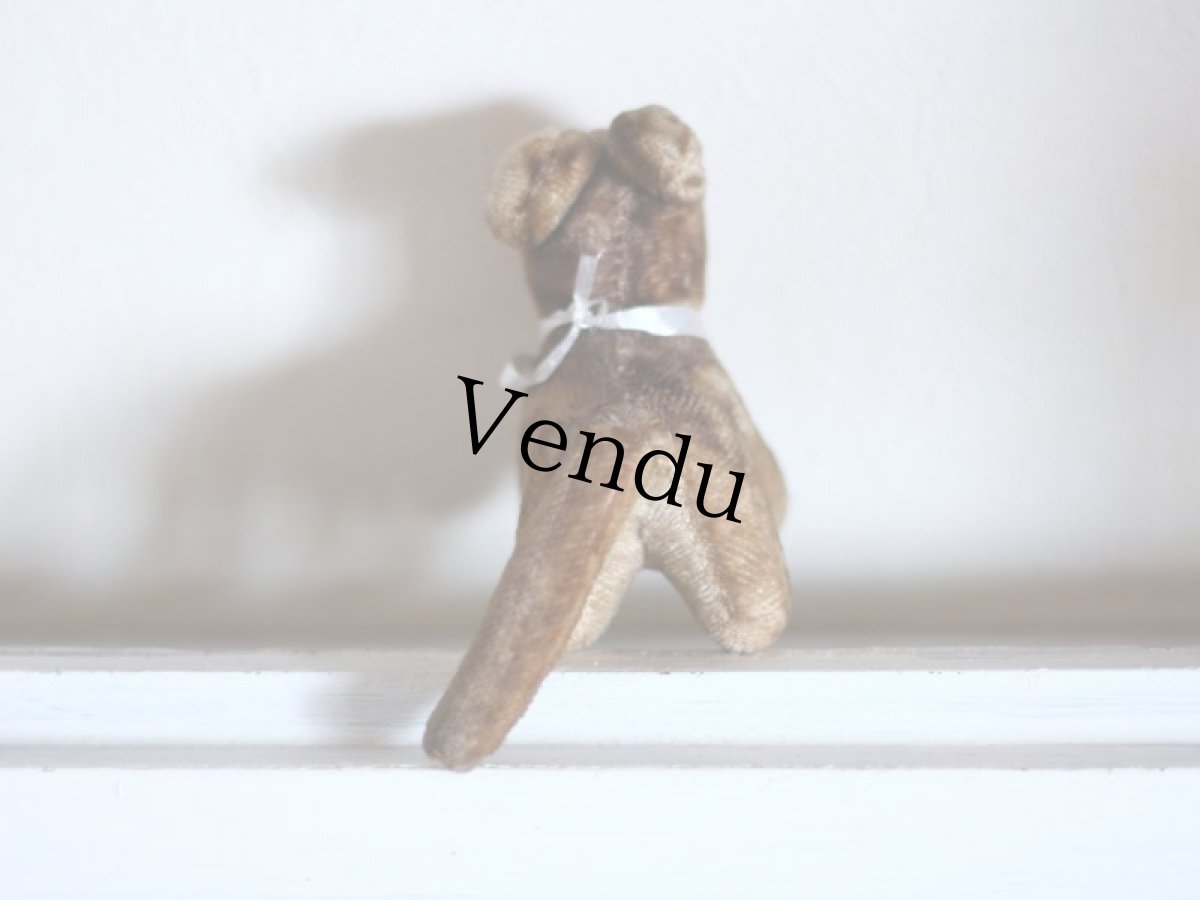 画像5: RARE!!Antque French Cat / France (5)