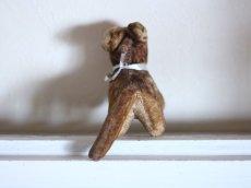 画像5: RARE!!Antque French Cat / France (5)