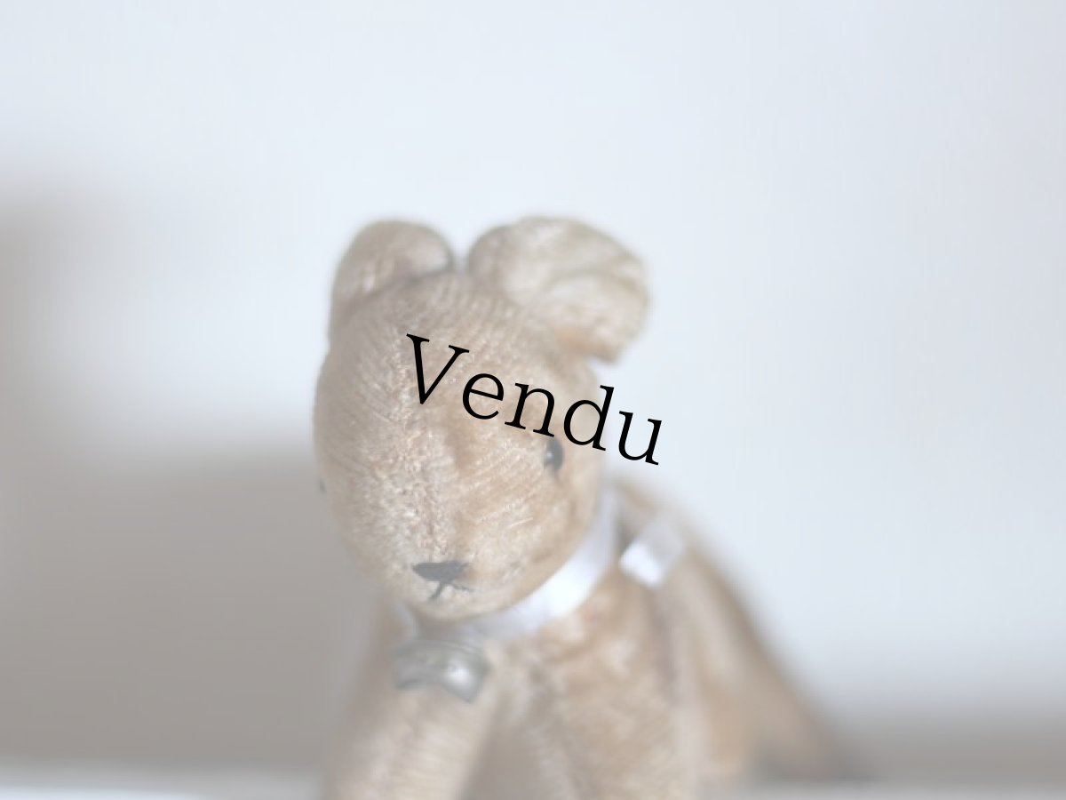 画像2: RARE!!Antque French Cat / France (2)