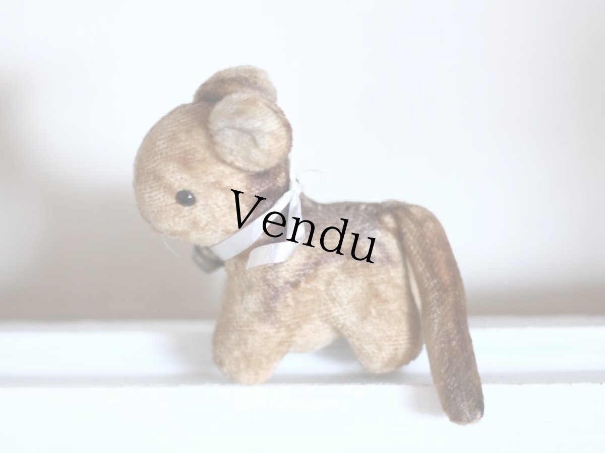 画像4: RARE!!Antque French Cat / France (4)