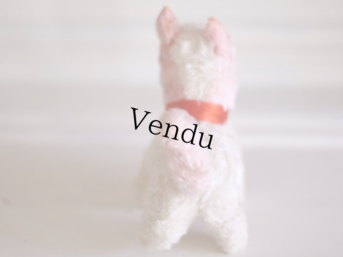 画像6: Antique french dog/フランス蚤の市 (6)