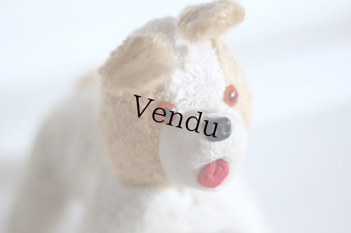 画像4: RARE!!Antique French Dog / France (4)