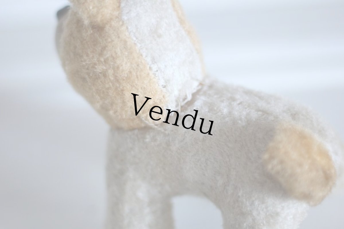 画像13: RARE!!Antique French Dog / France (13)