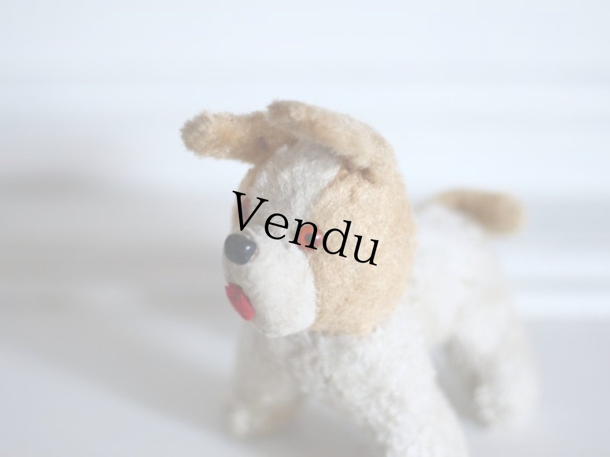 画像9: RARE!!Antique French Dog / France (9)