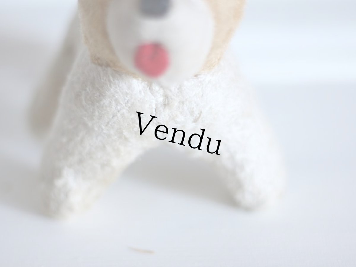 画像5: RARE!!Antique French Dog / France (5)