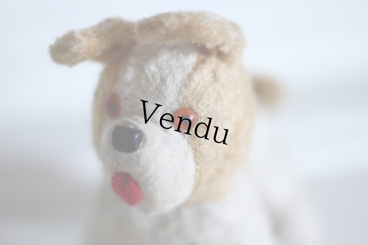 画像3: RARE!!Antique French Dog / France (3)