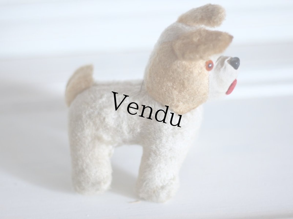 画像8: RARE!!Antique French Dog / France (8)