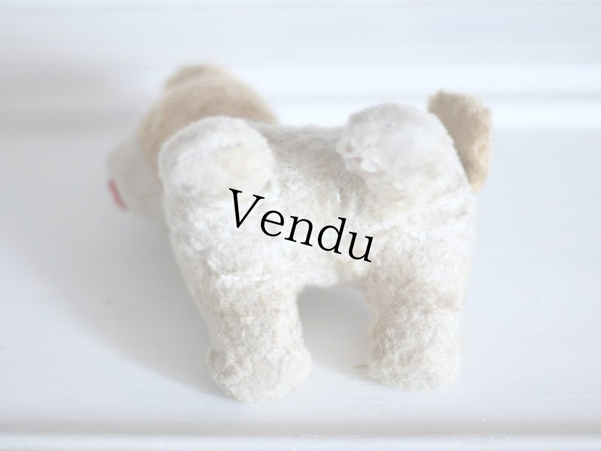 画像11: RARE!!Antique French Dog / France (11)