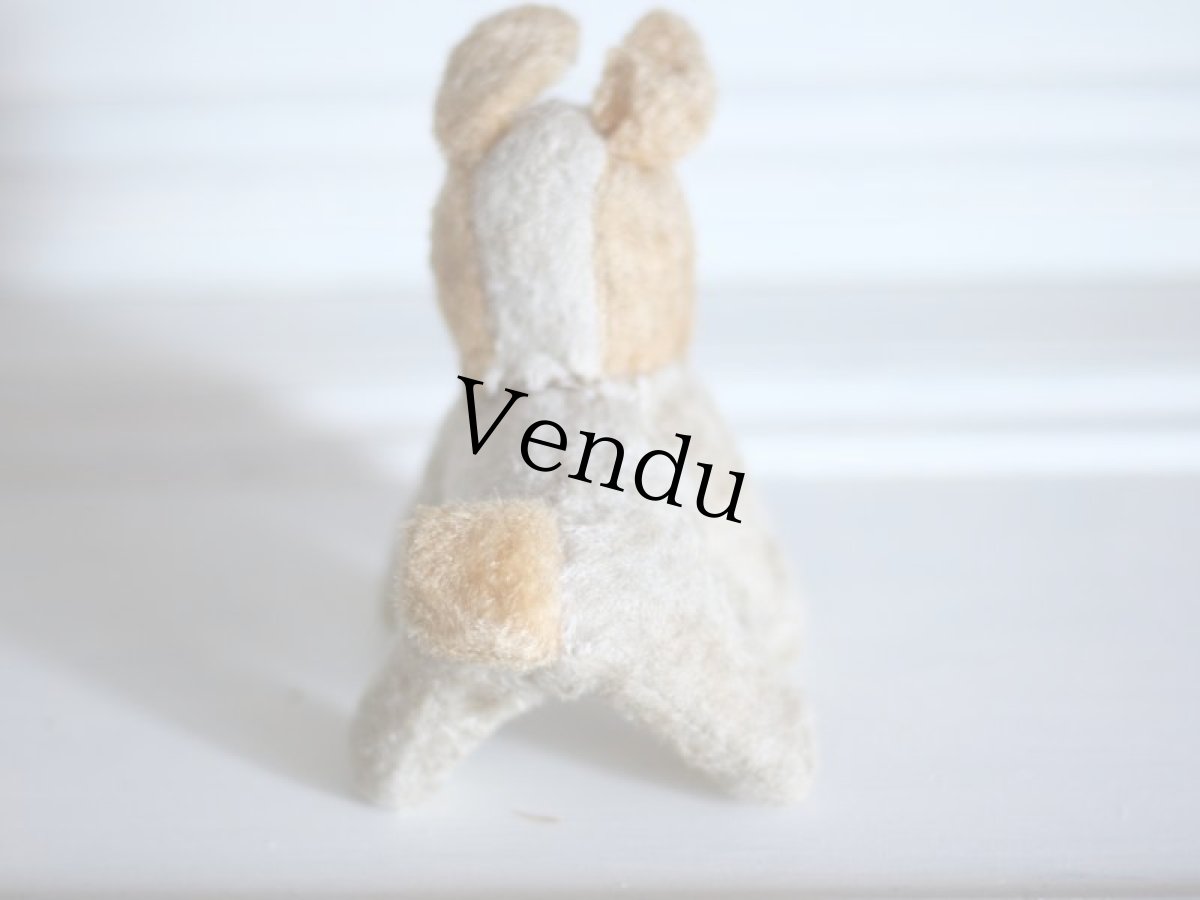 画像7: RARE!!Antique French Dog / France (7)