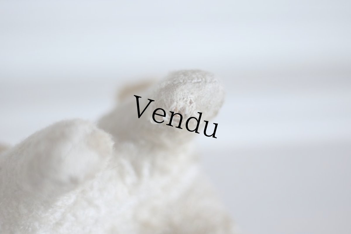 画像12: RARE!!Antique French Dog / France (12)